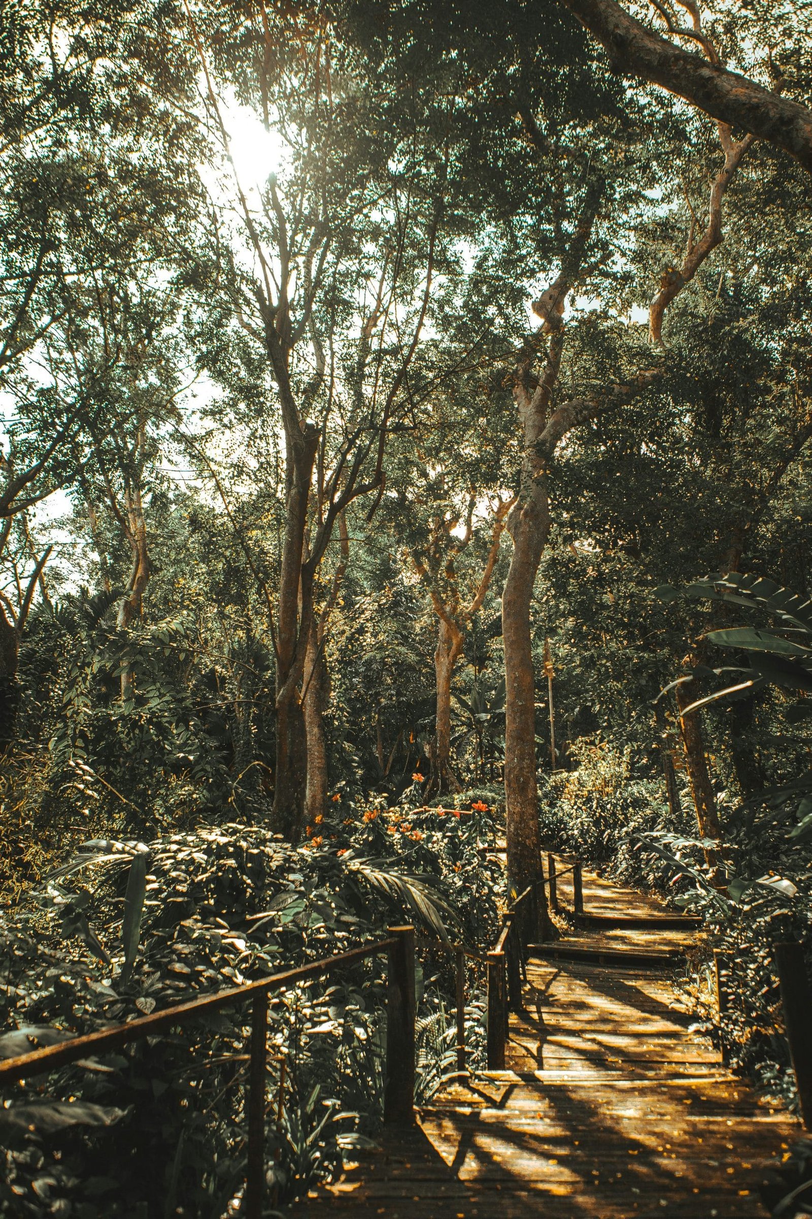 Exploring the Experience of Nadi Jyotish